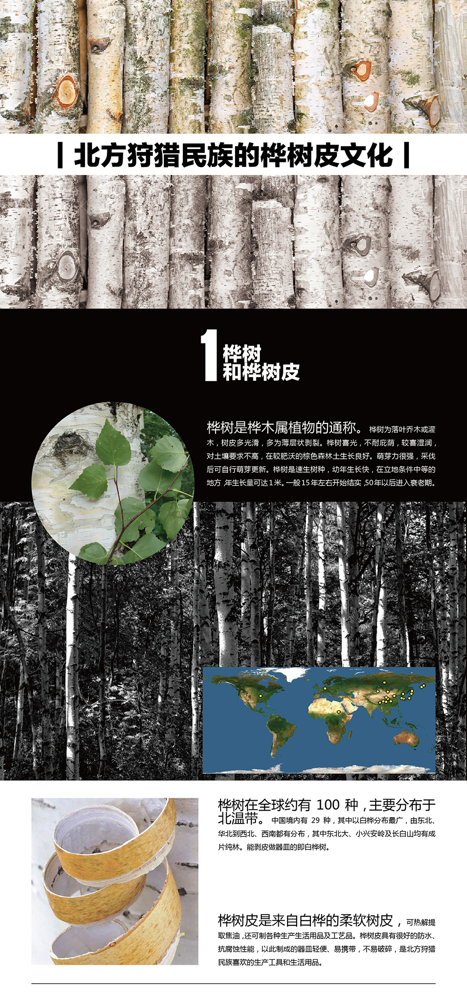 桦树皮文化1.jpg