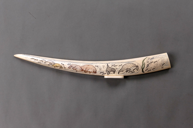 海象牙刻绘艺术3